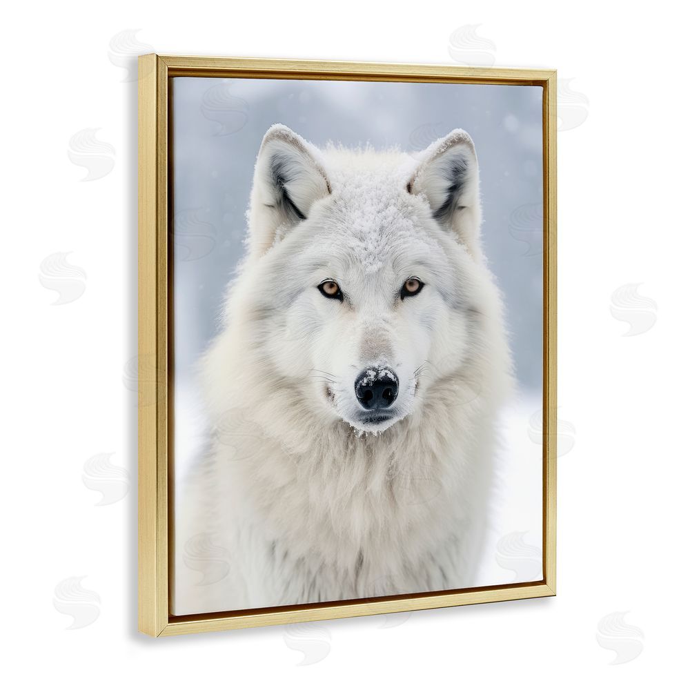 Ray Powers White Wolf in Snow Gold Floating Frame Canvas Wall Art Print