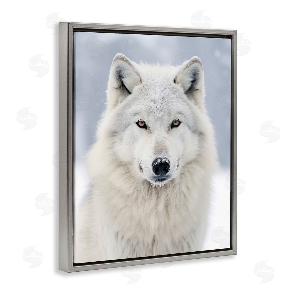 Ray Powers White Wolf in Snow Grey Floating Frame Canvas Wall Art Print