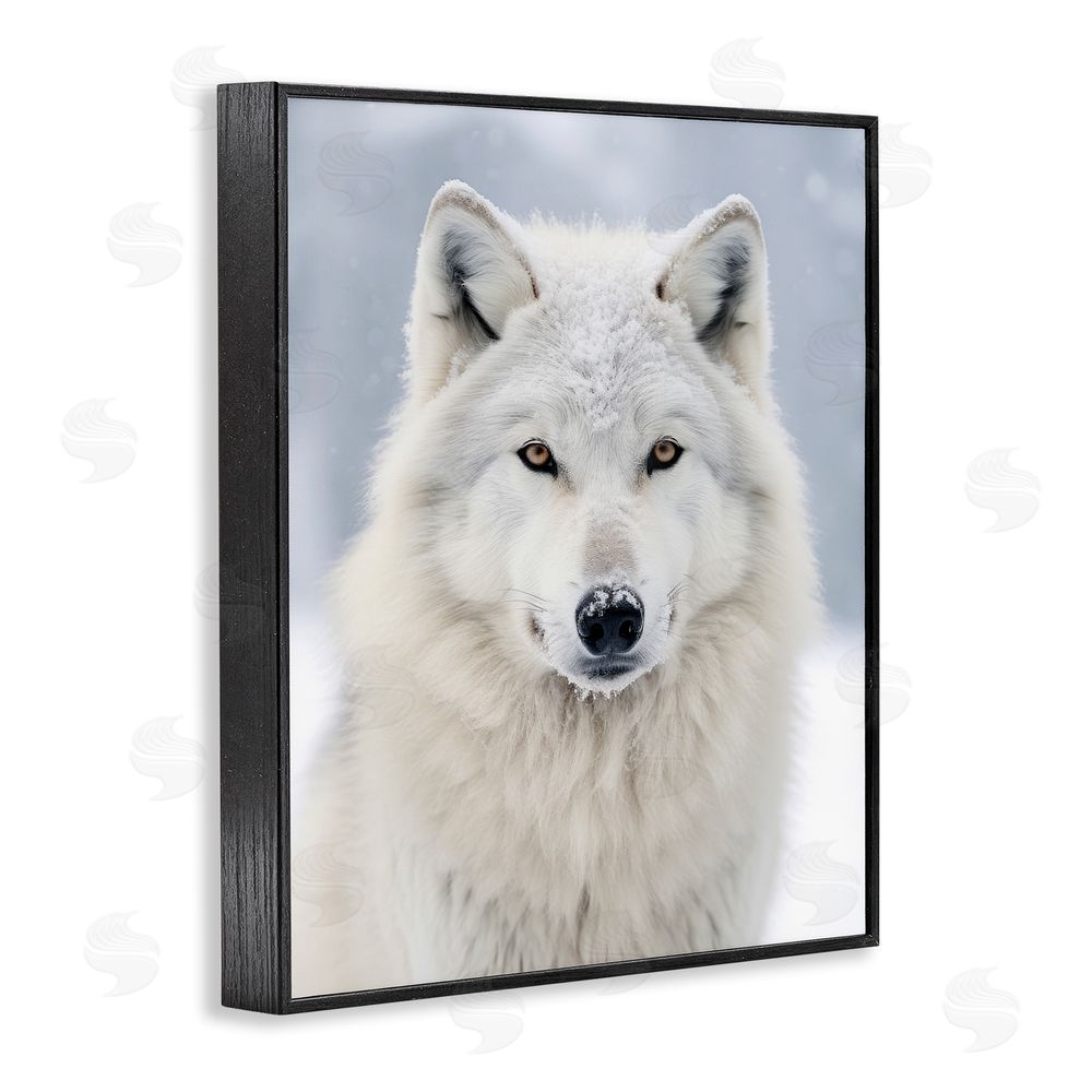 Ray Powers White Wolf in Snow Black Framed Giclee Wall Art Print