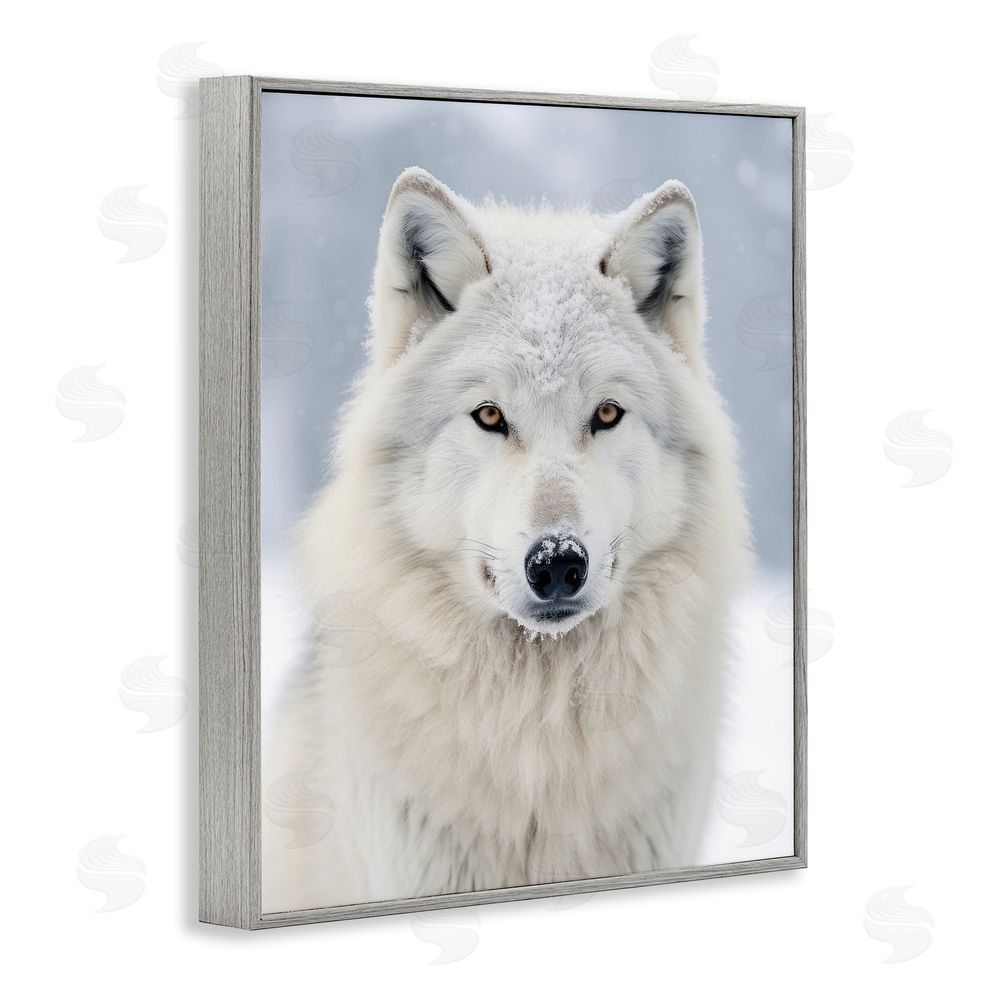 Ray Powers White Wolf in Snow Gray Framed Giclee Wall Art Print