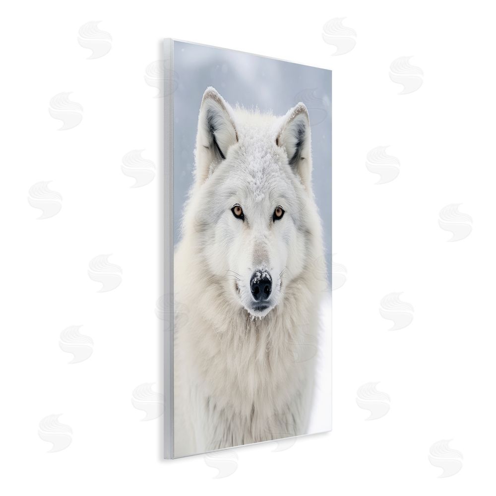 Ray Powers White Wolf in Snow Wall Plaque Art Print