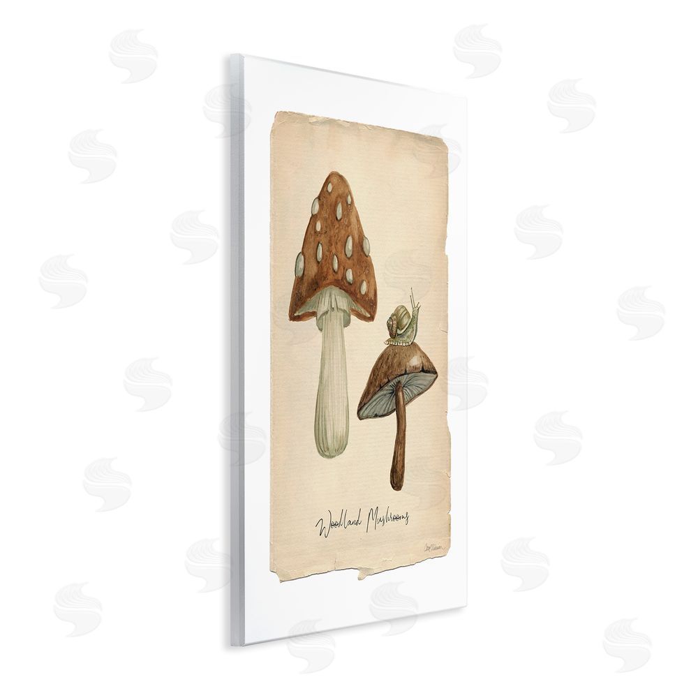 Carol Robinson Woodland Mushrooms & Snail Wall Plaque Art Print