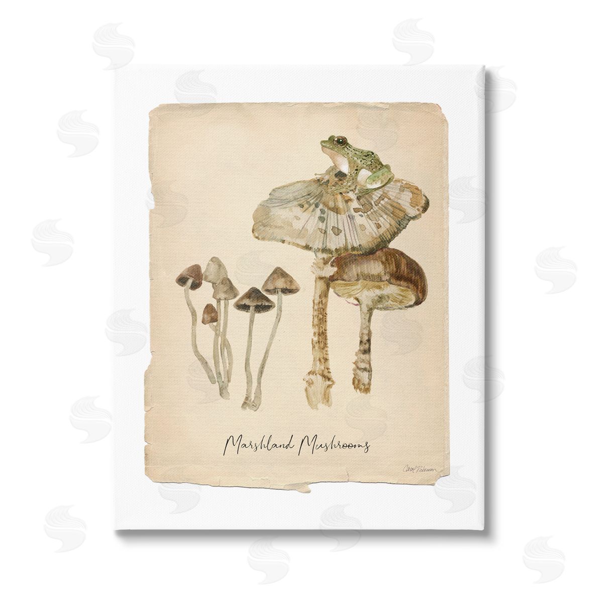 Carol Robinson Marshland Mushrooms & Frog Stretched Canvas Wall Art Print