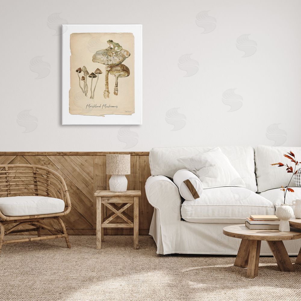 Carol Robinson Marshland Mushrooms & Frog Canvas Wall Art Print in Room