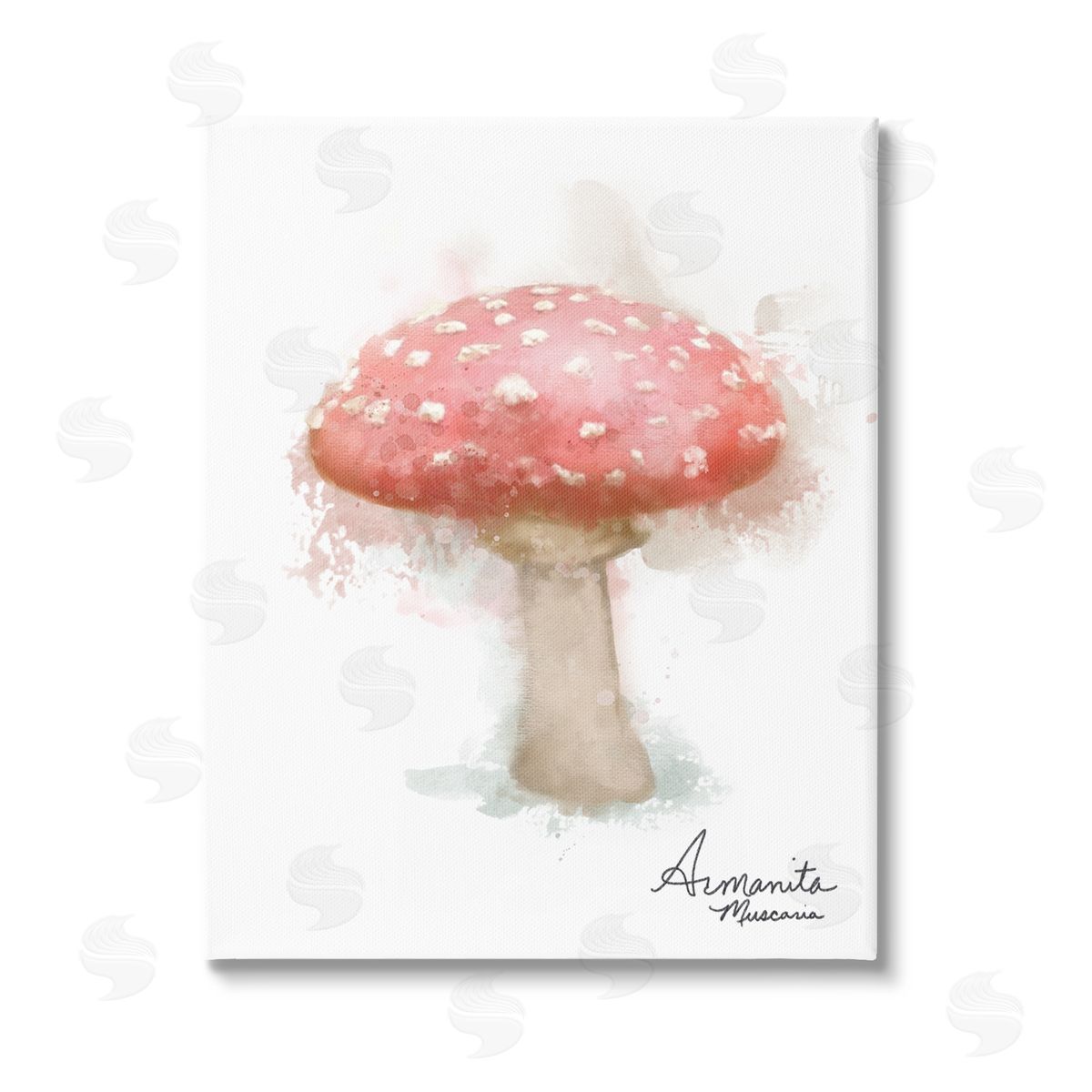Matthew Piotrowicz Abstract Amanita Mushroom Stretched Canvas Wall Art Print