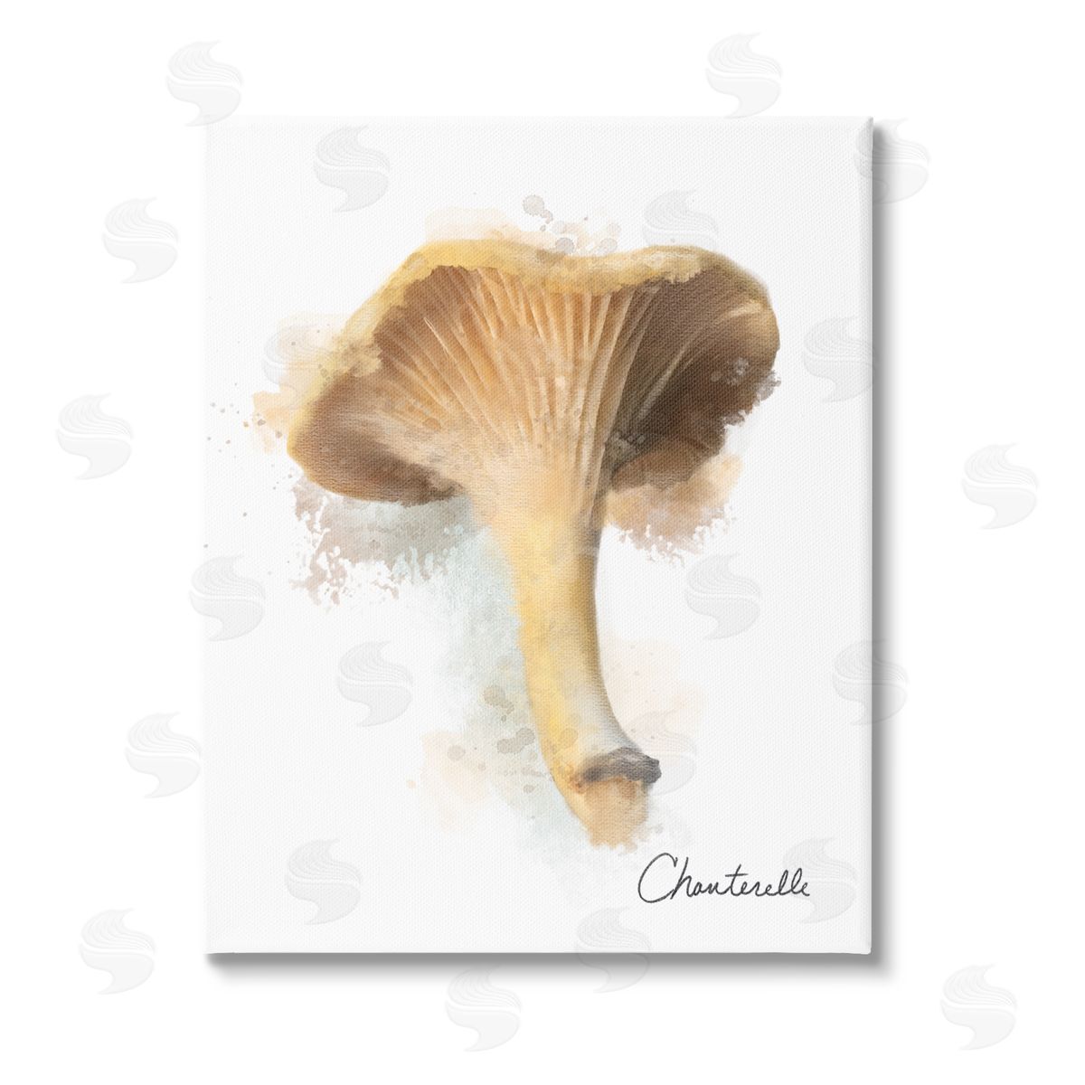 Matthew Piotrowicz Abstract Chanterelle Mushroom Stretched Canvas Wall Art Print