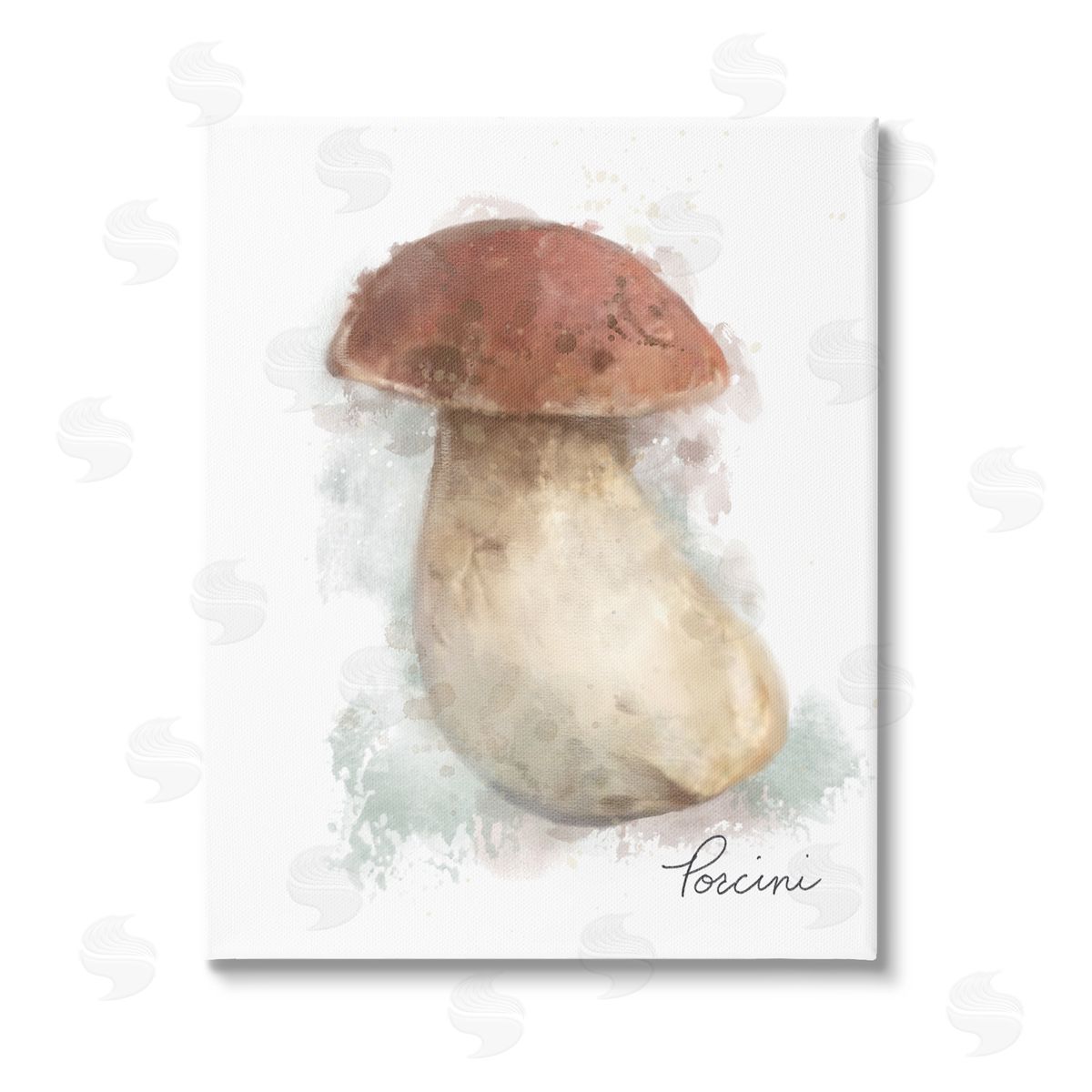 Matthew Piotrowicz Abstract Porcini Mushroom Stretched Canvas Wall Art Print