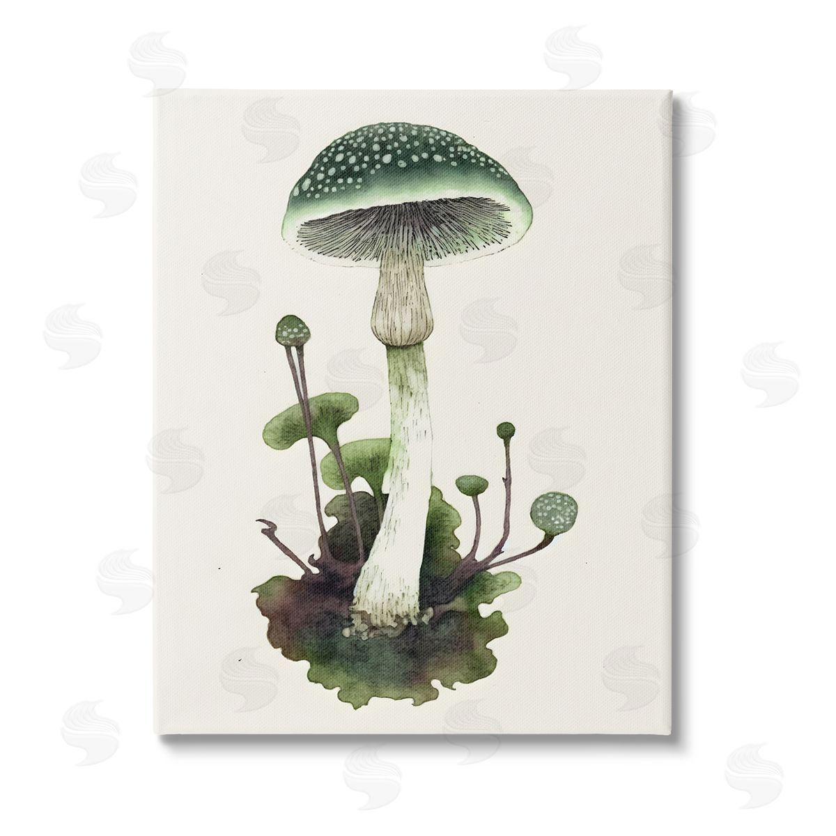 Petal Prints Design Forest Green Mushroom Stretched Canvas Wall Art Print