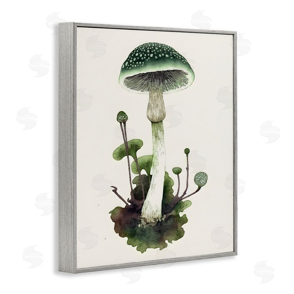 Petal Prints Design Forest Green Mushroom Gray Framed Giclee Wall Art Print