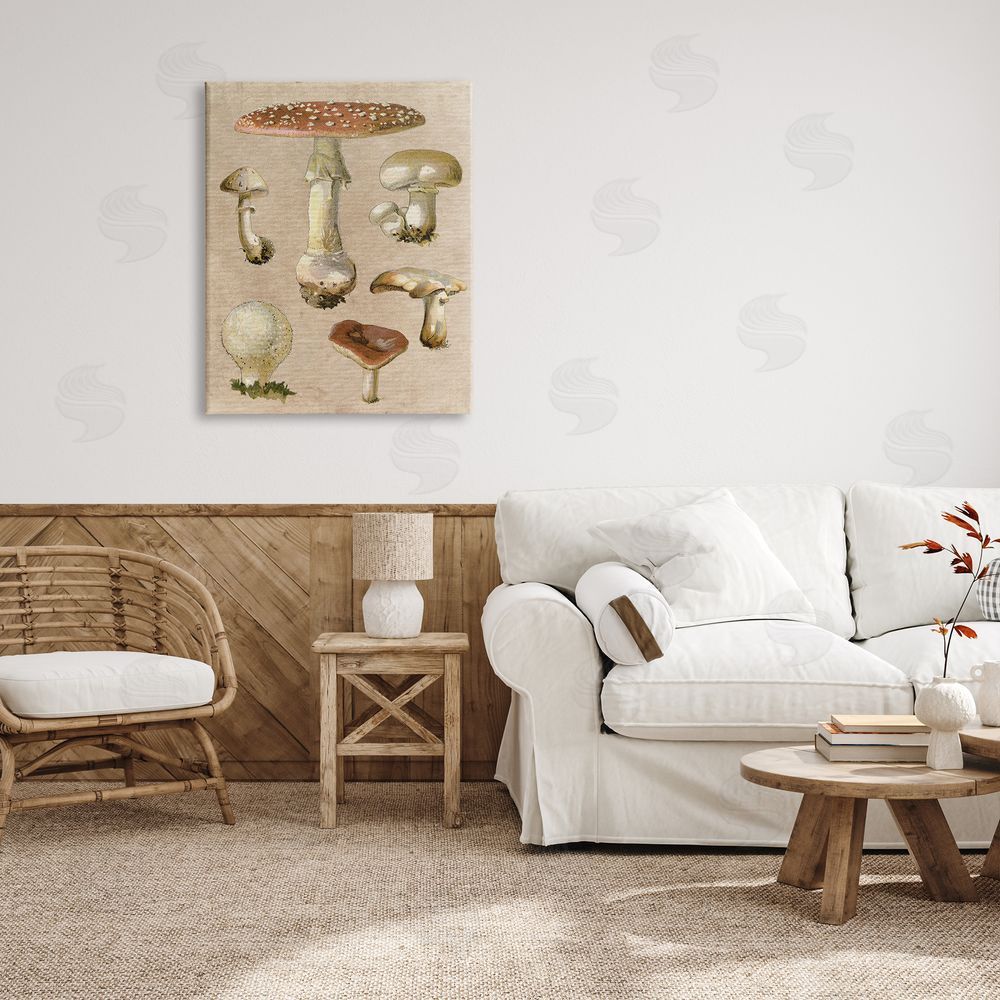 Stupell Studio Vintage Neutral Mushrooms Canvas Wall Art Print in Room