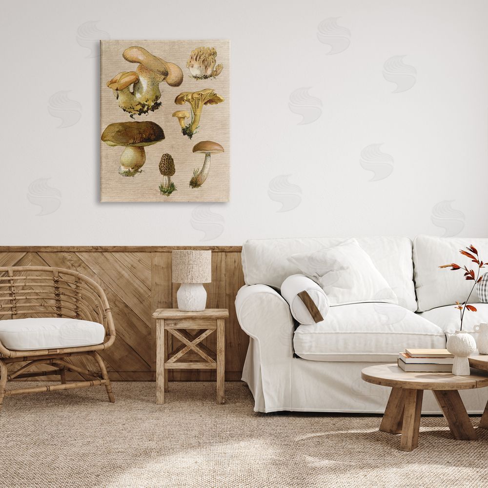 Stupell Studio Vintage Mushroom Drawings Canvas Wall Art Print in Room
