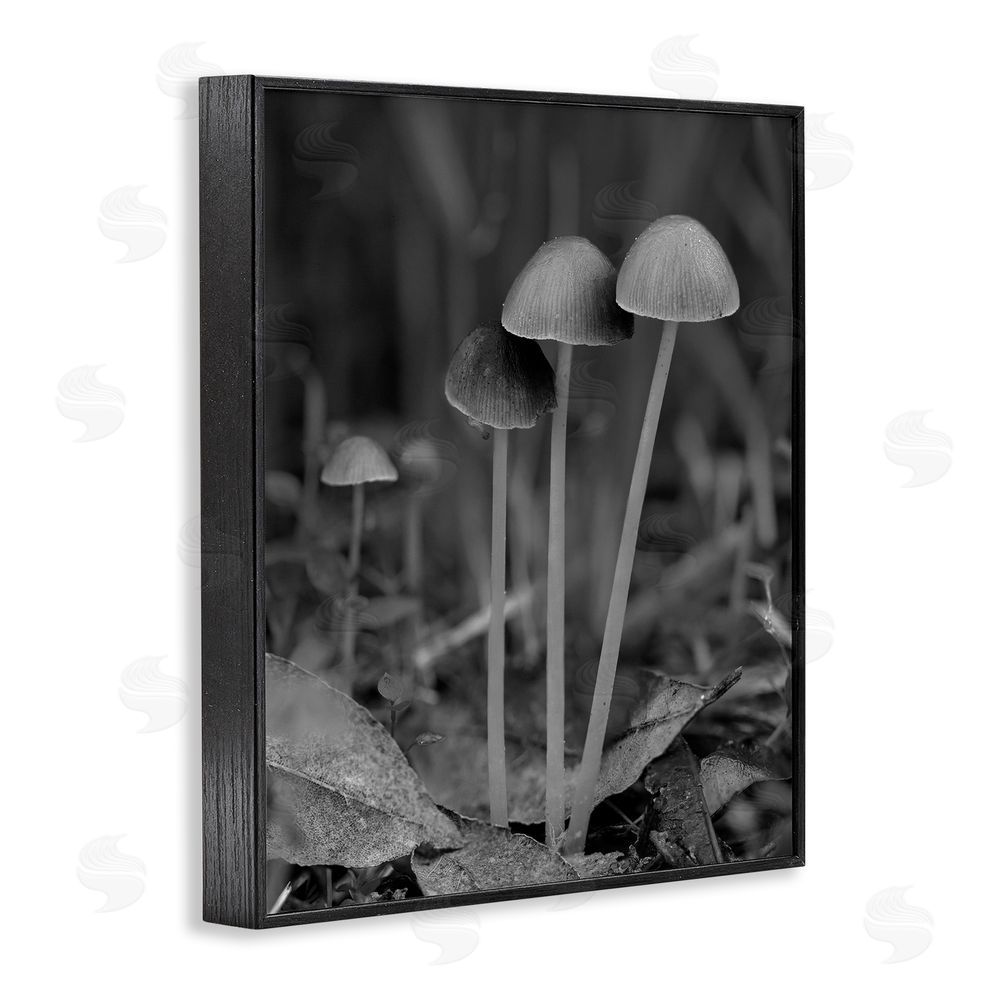 Stupell Studio Forest Mushroom Photography Black Framed Giclee Wall Art Print