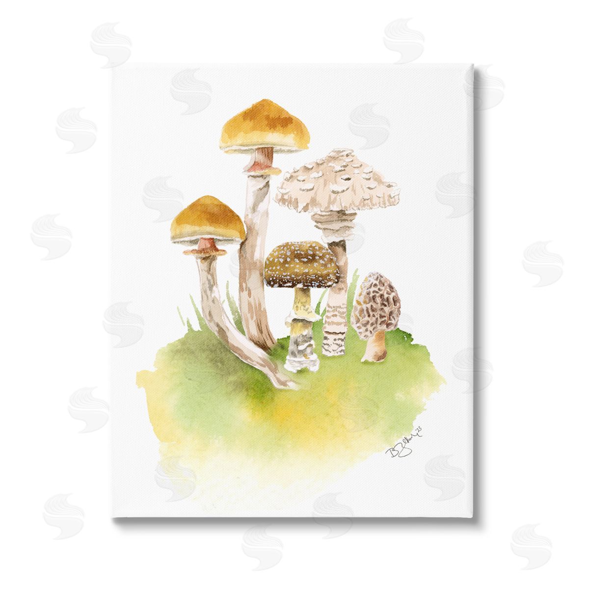Two If By Sea Studios Sprouting Brown Mushrooms Stretched Canvas Wall Art Print