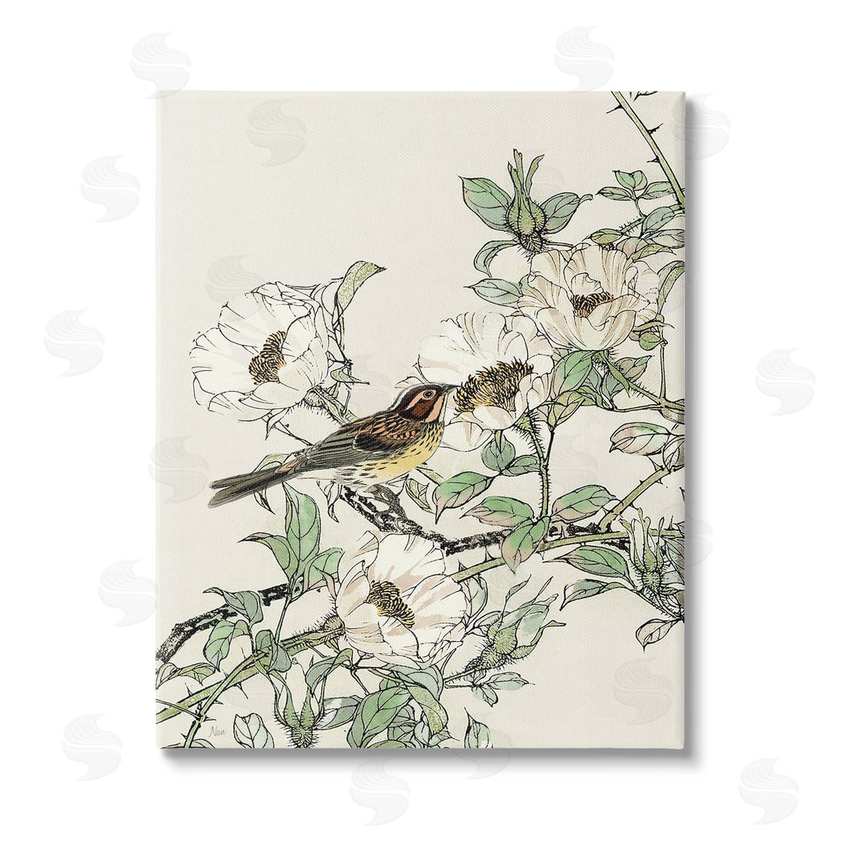 Nan Delicate Bird & Blossoms Stretched Canvas Wall Art Print
