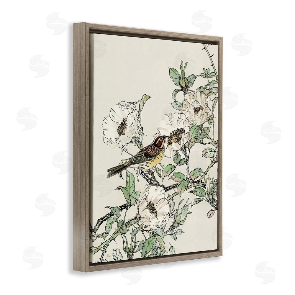Nan Delicate Bird & Blossoms Brown Floating Frame Canvas Wall Art Print