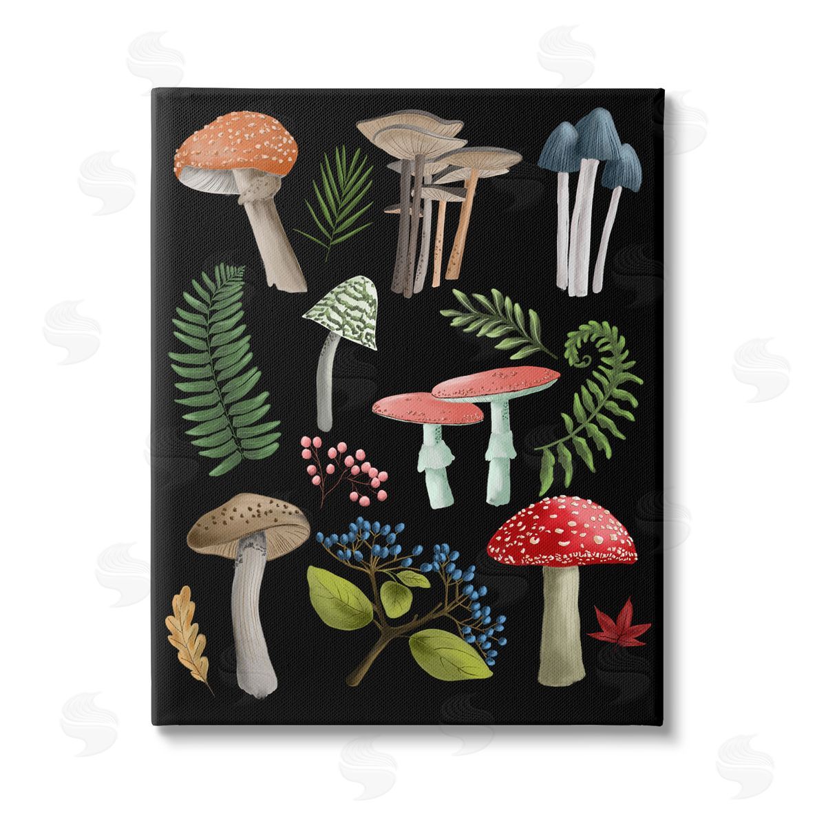Regina Moore Woodland Botanicals on Black Stretched Canvas Wall Art Print