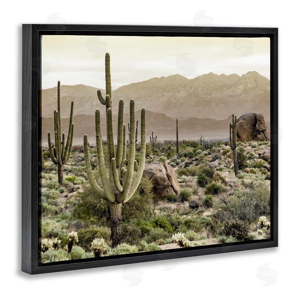 Kim Allen Rocky Desert Landscape Black Floating Frame Canvas Wall Art Print