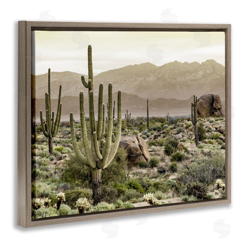 Kim Allen Rocky Desert Landscape Brown Floating Frame Canvas Wall Art Print