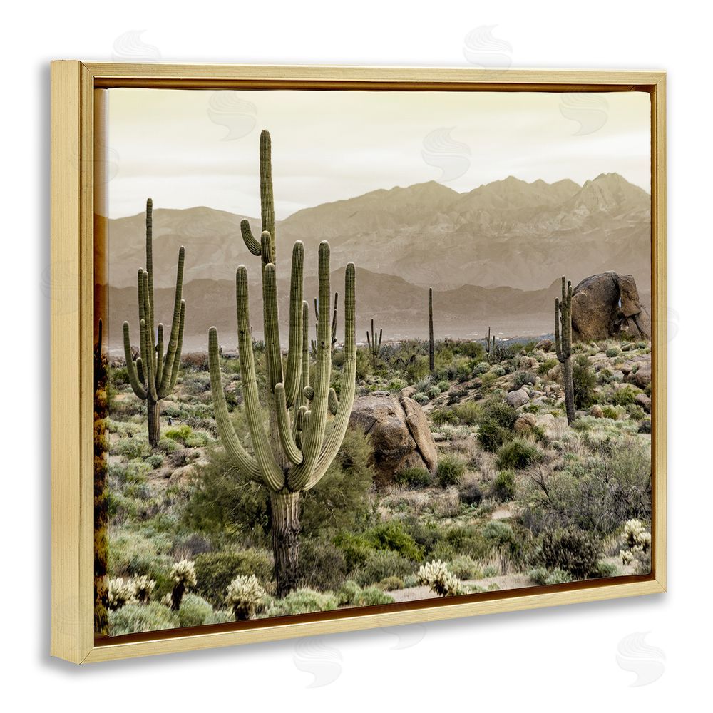 Kim Allen Rocky Desert Landscape Gold Floating Frame Canvas Wall Art Print