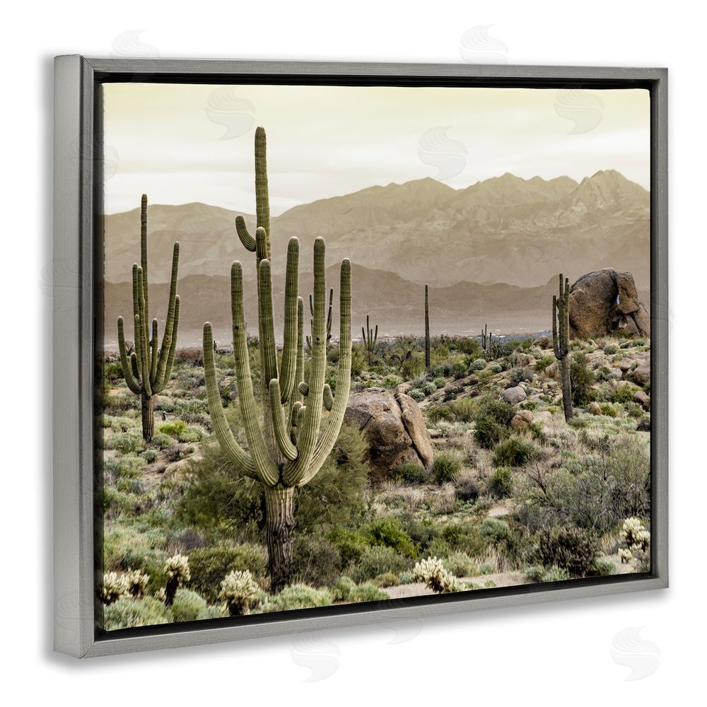 Kim Allen Rocky Desert Landscape Grey Floating Frame Canvas Wall Art Print