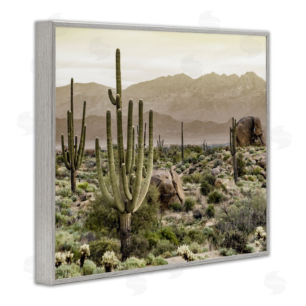 Kim Allen Rocky Desert Landscape Gray Framed Giclee Wall Art Print