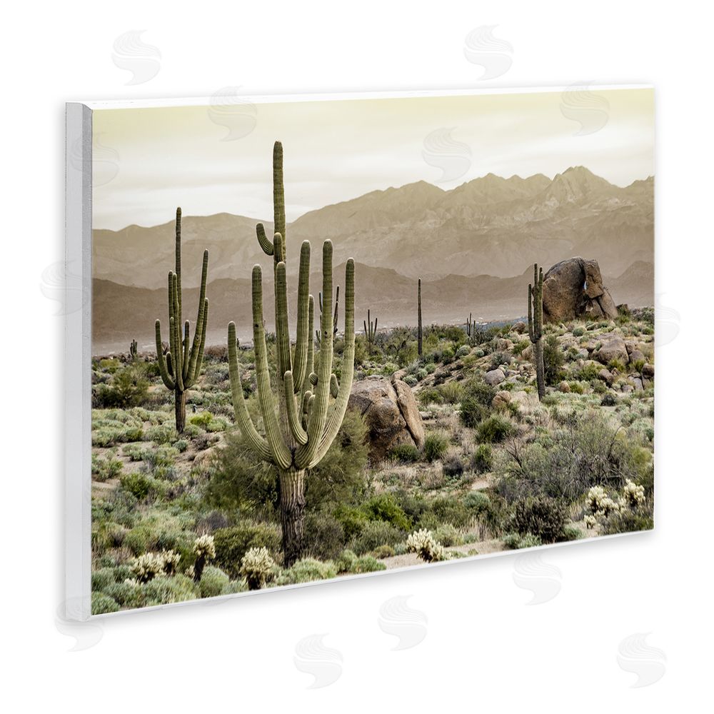 Kim Allen Rocky Desert Landscape Wall Plaque Art Print