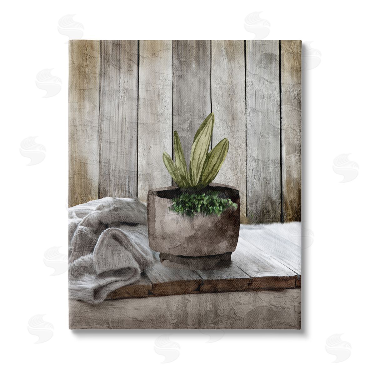 Kim Allen Potted Plant Still Life Stretched Canvas Wall Art Print
