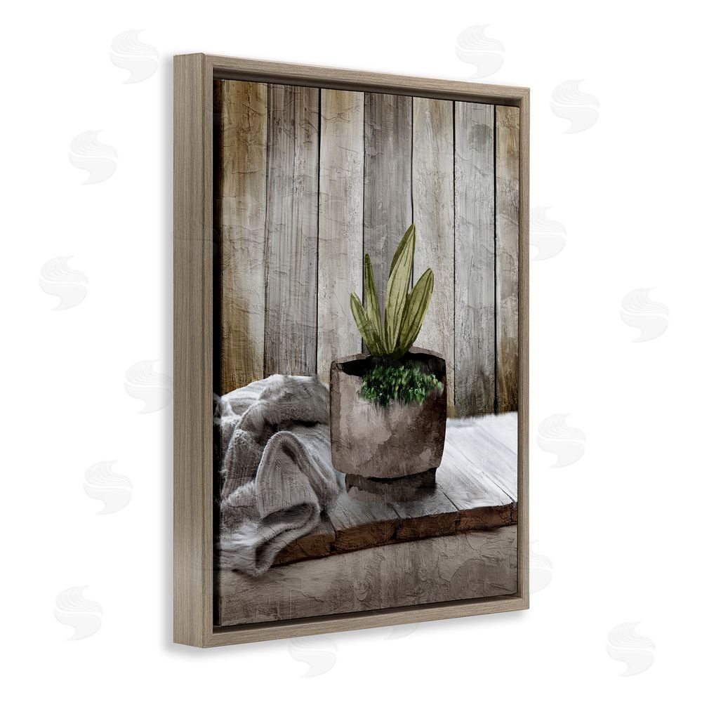 Kim Allen Potted Plant Still Life Brown Floating Frame Canvas Wall Art Print