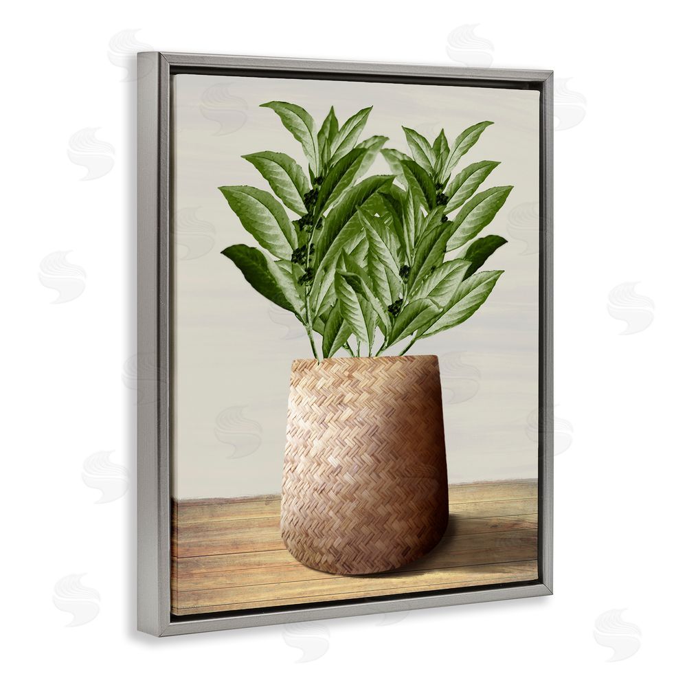 Marcus Prime Greenery in Woven Planter Grey Floating Frame Canvas Wall Art Print