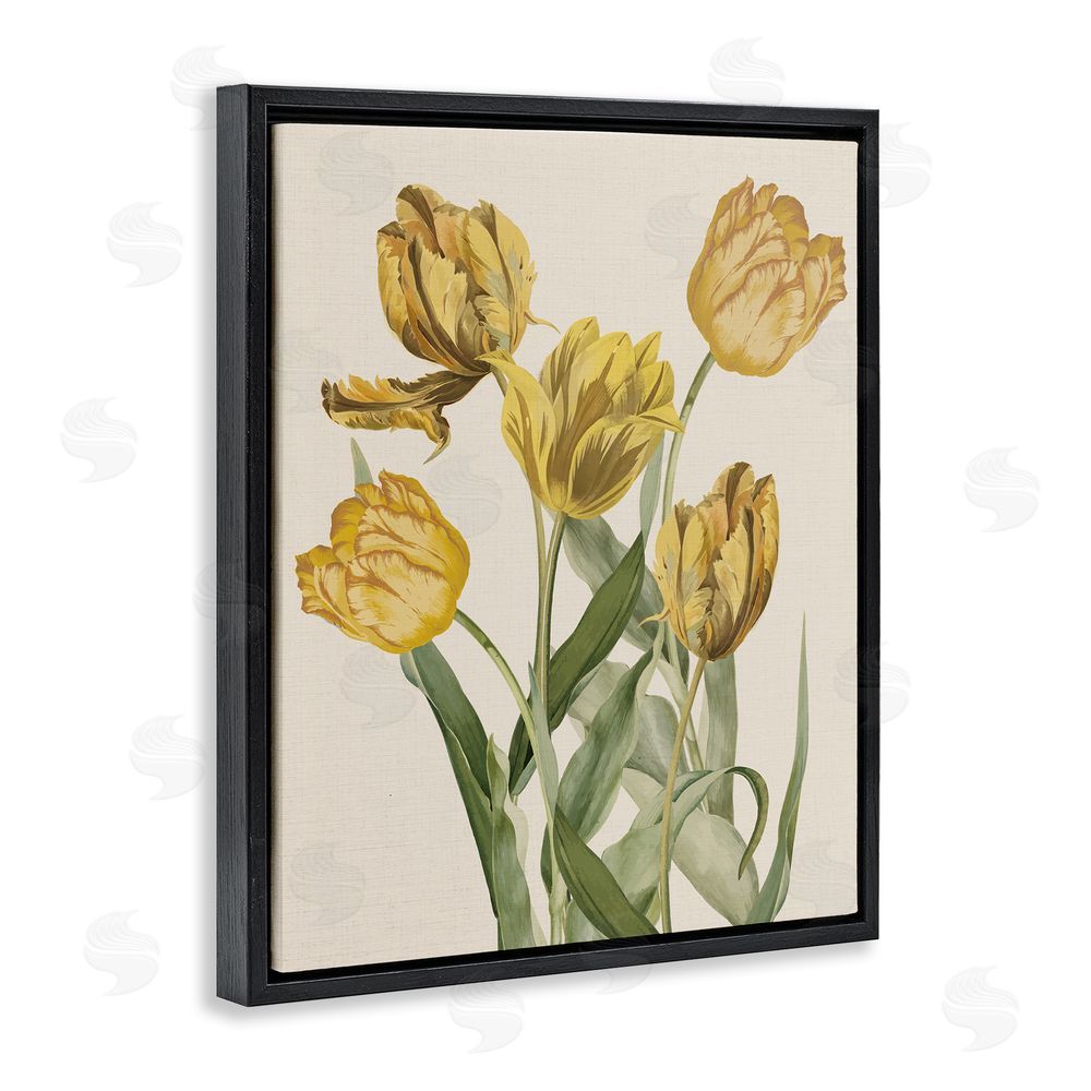 Stupell Studio Antique Yellow Tulips Black Floating Frame Canvas Wall Art Print
