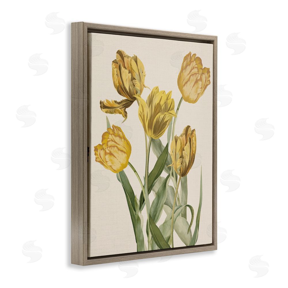 Stupell Studio Antique Yellow Tulips Brown Floating Frame Canvas Wall Art Print
