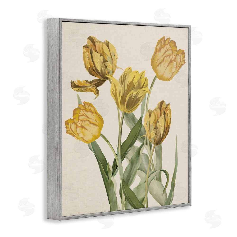 Stupell Studio Antique Yellow Tulips Gray Framed Giclee Wall Art Print