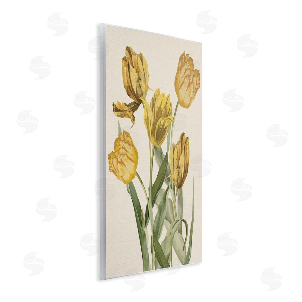 Stupell Studio Antique Yellow Tulips Wall Plaque Art Print