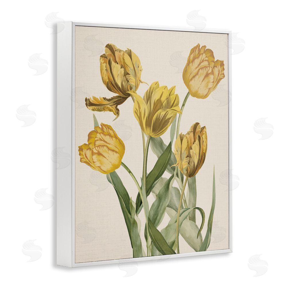 Stupell Studio Antique Yellow Tulips White Framed Giclee Wall Art Print
