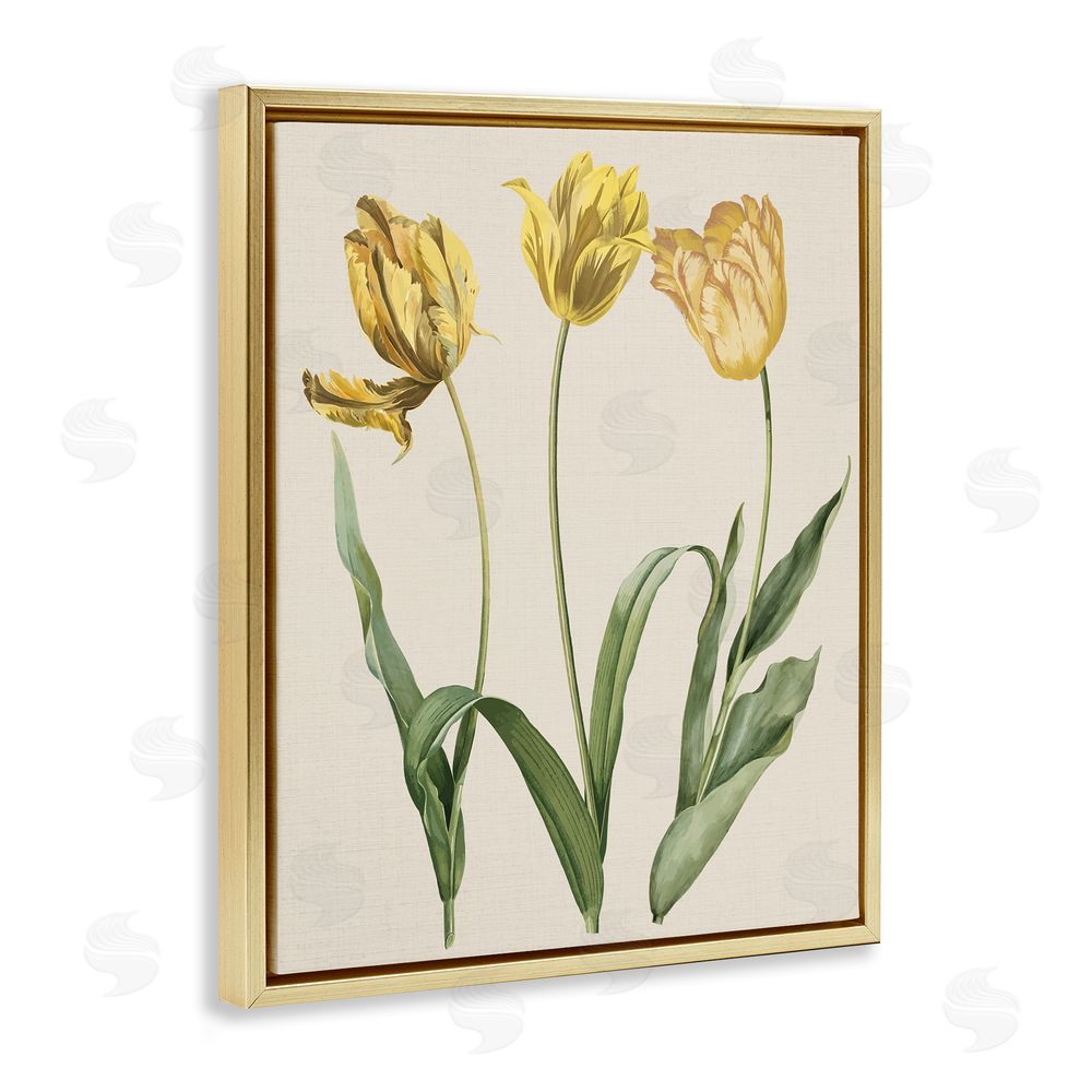 Stupell Studio Three Tulip Sprigs Gold Floating Frame Canvas Wall Art Print