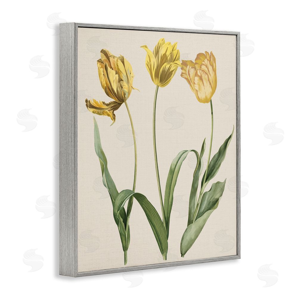 Stupell Studio Three Tulip Sprigs Gray Framed Giclee Wall Art Print