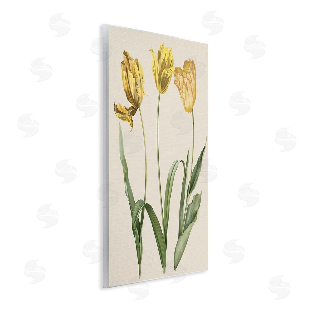 Stupell Studio Three Tulip Sprigs Wall Plaque Art Print