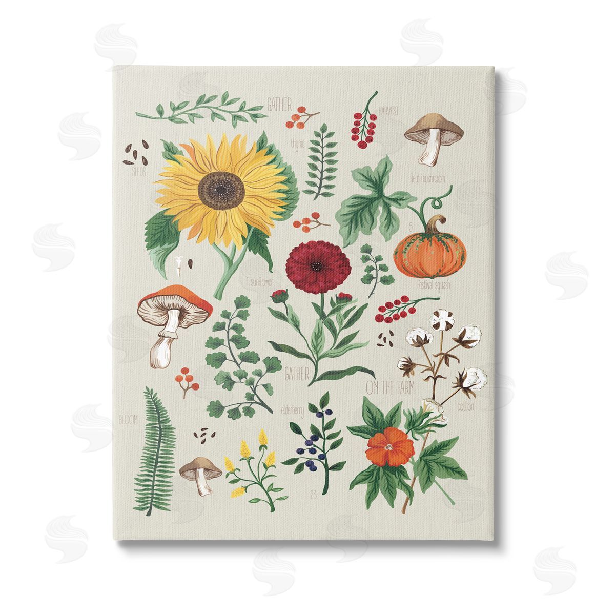 Sharon Lee Botanical & Seeds Study Stretched Canvas Wall Art Print