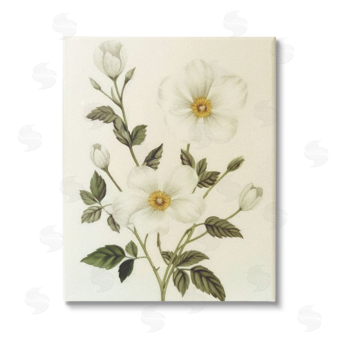 Ziwei Li Vintage Apple Blossoms Stretched Canvas Wall Art Print