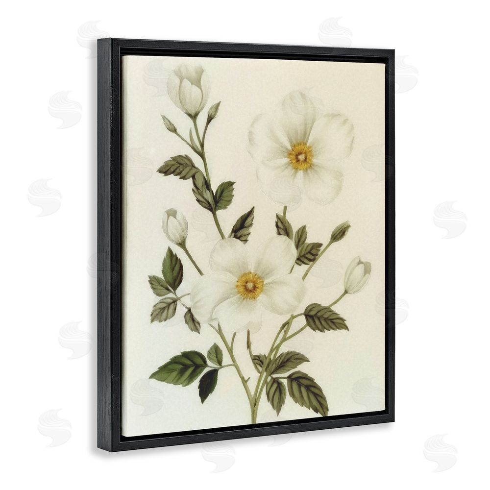 Ziwei Li Vintage Apple Blossoms Black Floating Frame Canvas Wall Art Print