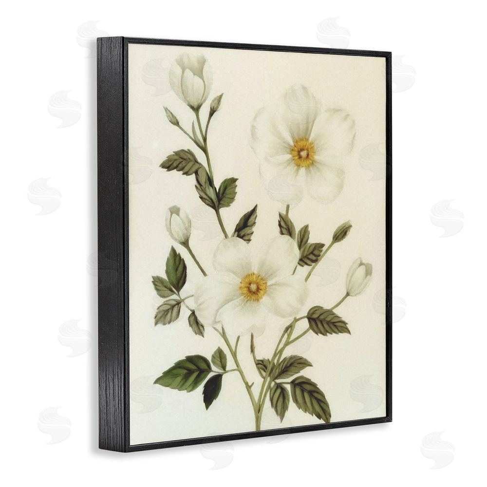 Ziwei Li Vintage Apple Blossoms Black Framed Giclee Wall Art Print