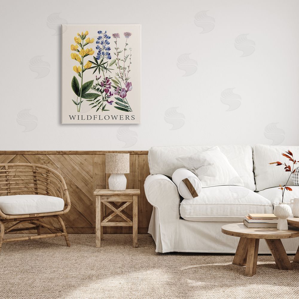Piddix Wildflower Species Study Canvas Wall Art Print in Room