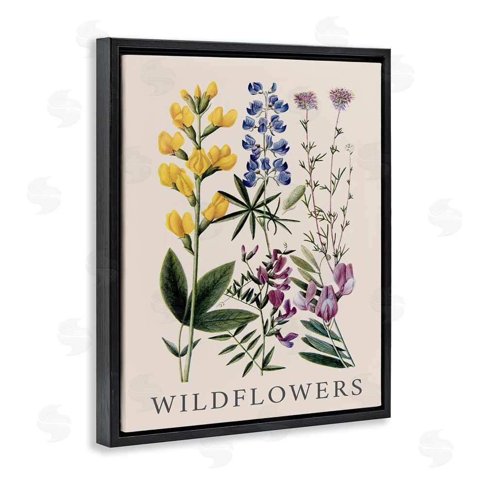 Piddix Wildflower Species Study Black Floating Frame Canvas Wall Art Print