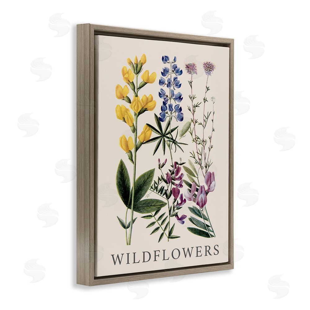 Piddix Wildflower Species Study Brown Floating Frame Canvas Wall Art Print