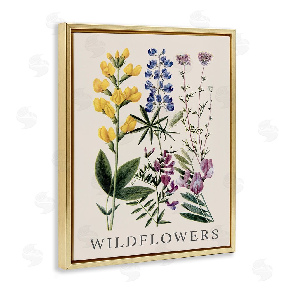 Piddix Wildflower Species Study Gold Floating Frame Canvas Wall Art Print