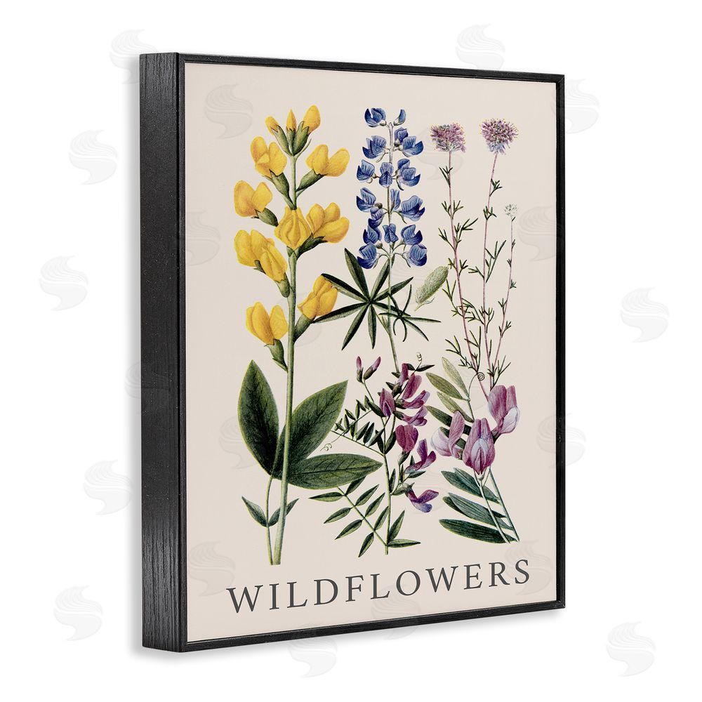 Piddix Wildflower Species Study Black Framed Giclee Wall Art Print