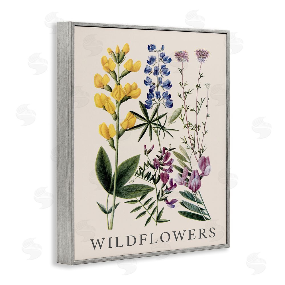 Piddix Wildflower Species Study Gray Framed Giclee Wall Art Print