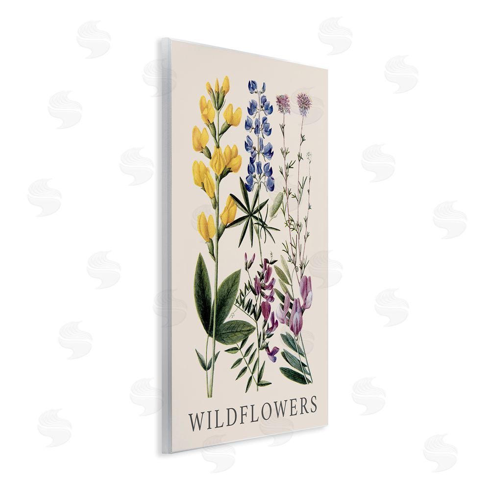 Piddix Wildflower Species Study Wall Plaque Art Print
