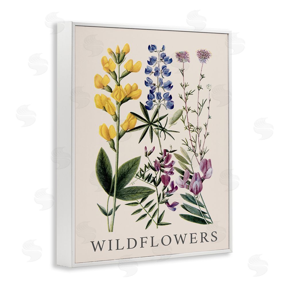 Piddix Wildflower Species Study White Framed Giclee Wall Art Print
