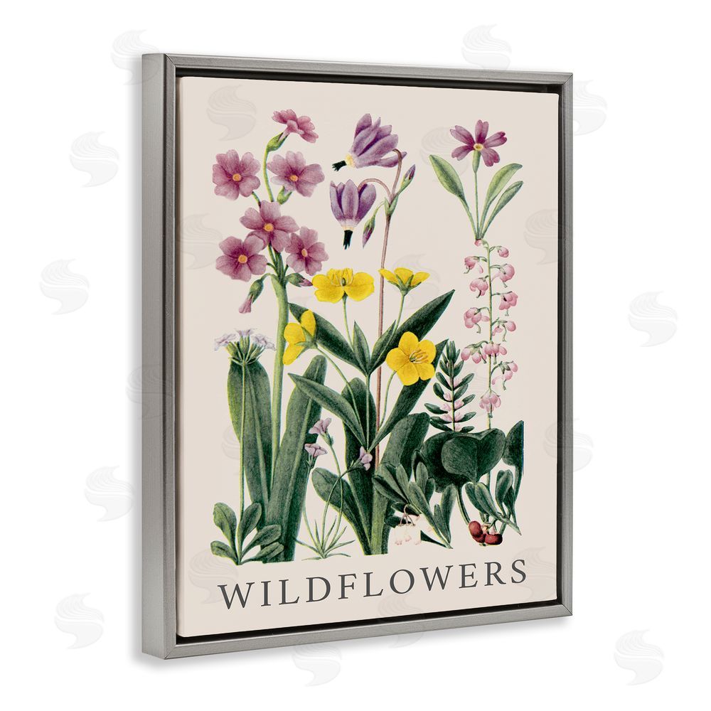 Piddix Various Wildflowers Study Grey Floating Frame Canvas Wall Art Print